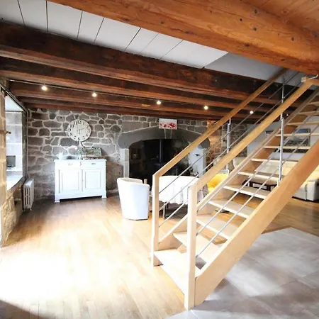 Maison De Montagne Renovee Avec Jardin Clos, Proche Du Super Lioran Et Activites De Plein Air - Fr-1-742-44